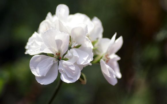 左右电影原著结局怎么样