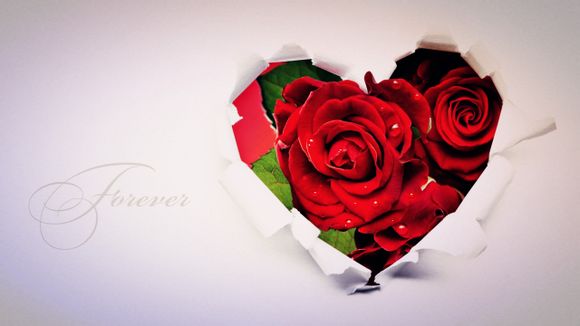 蓝狐电视剧姐妹剧情介绍