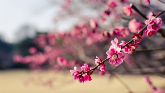 秀美电视剧30集剧情介绍