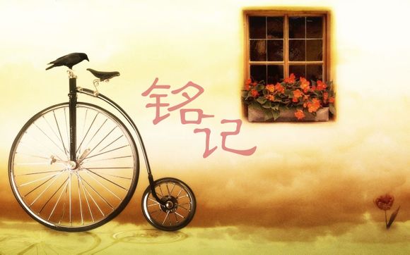 大喜之家电影剧情